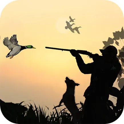 Duck Hunting Sport 3D Cheats