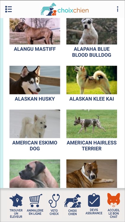 Choix Chien screenshot-3