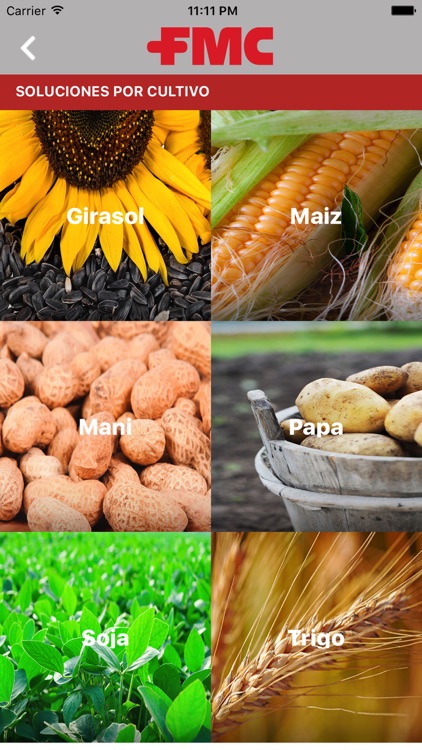 FMC Argentina screenshot-3