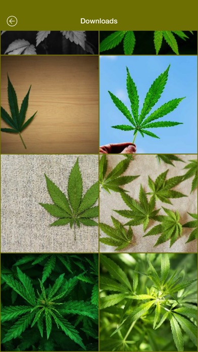 Weed Wallpaper Photos screenshot 2