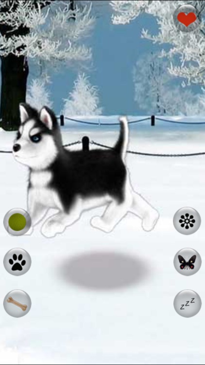 Talking Dog Virtual Pet Husky screenshot-4