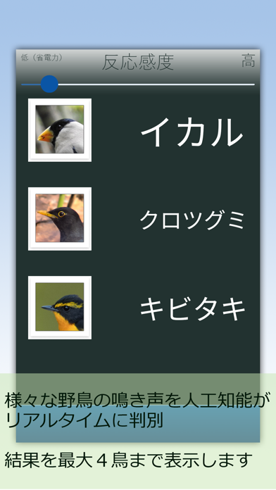 BIRD RADAR screenshot1