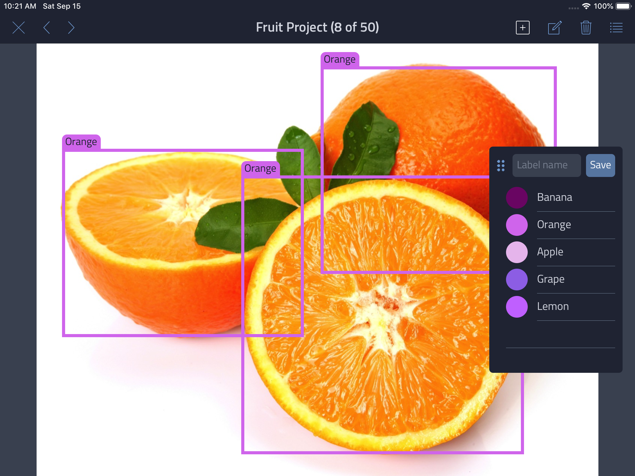 Labelocity - Image Annotation screenshot 5