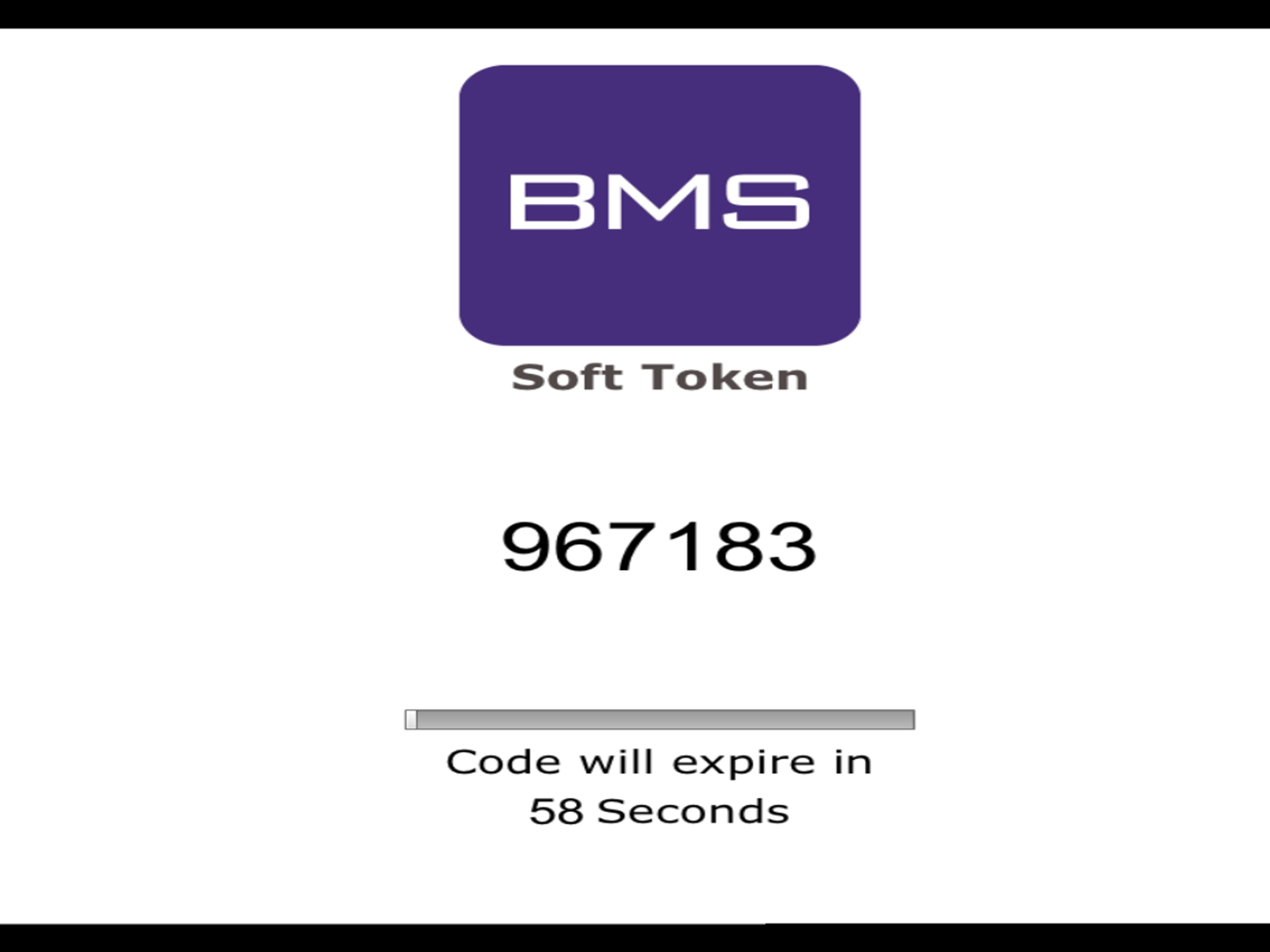 BMS Token