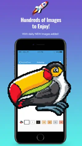 Game screenshot Rocket Pixel - Color by Number hack