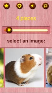 Guinea Pig Jigsaw Puzzle Games screenshot #9 for iPhone