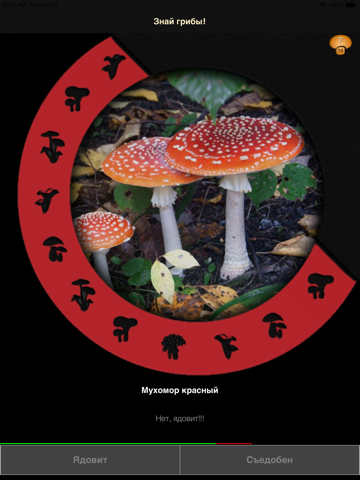 Скриншот из Learn Forest Mushrooms