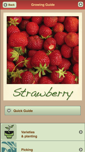 Growing Your Own Organic Fruit(圖3)-速報App