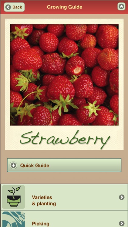 Growing Your Own Organic Fruit