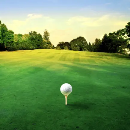 Mini Golf X - 3D Golfing Game Cheats
