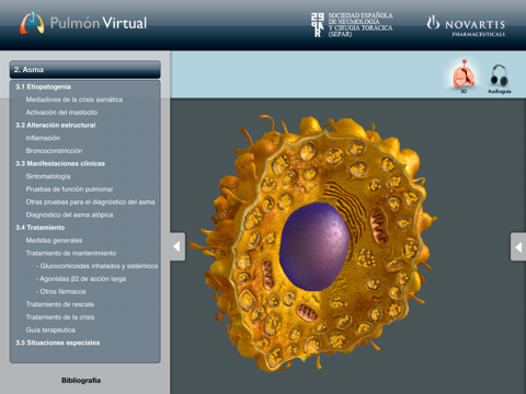 M3: Pulmón Virtual – Asma Bronquial screenshot 2