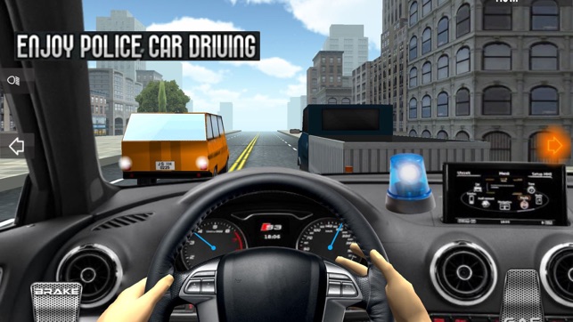 Police Car Driving Master