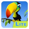 Allama Parrot in HD Free