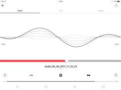 Voice Recorder (Premium) iPad image 3