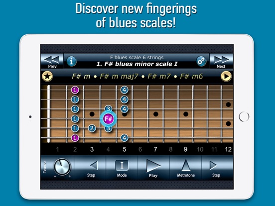 Screenshot #4 pour Bluesman Guitar Scales