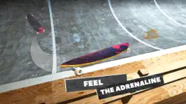 Game screenshot True Touchgrind Skate Race 3D hack