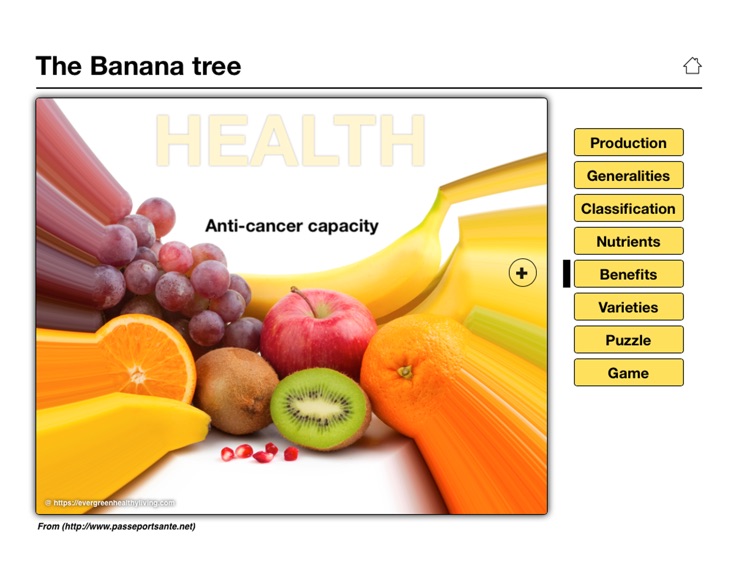 The Banana screenshot-6
