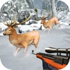 Extreme Deer Shooting