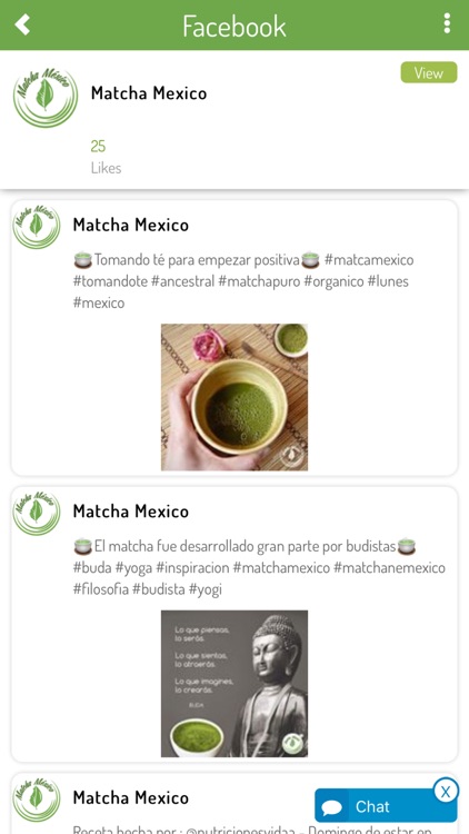 Matcha Mexico Mayoreo
