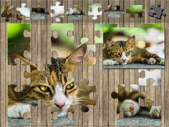 Jigsaw Geniusのおすすめ画像5