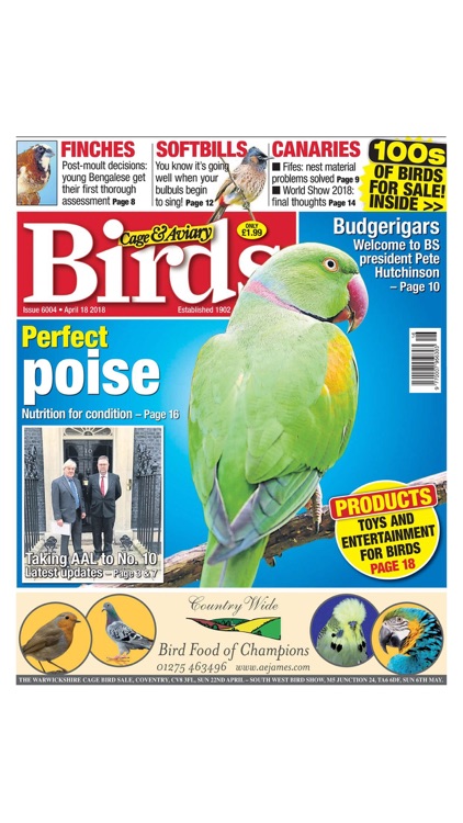 Cage & Aviary Birds