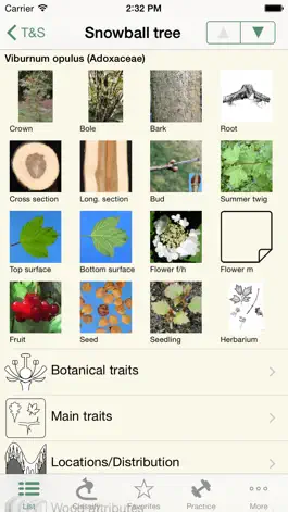 Game screenshot iForest - Trees & Bushes apk