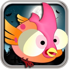 Activities of Flybird In Dark Free