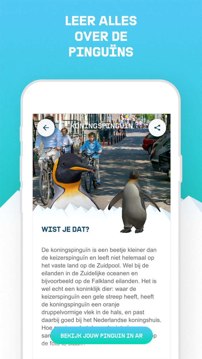 Koning Pinguïn - Greenpeace AR