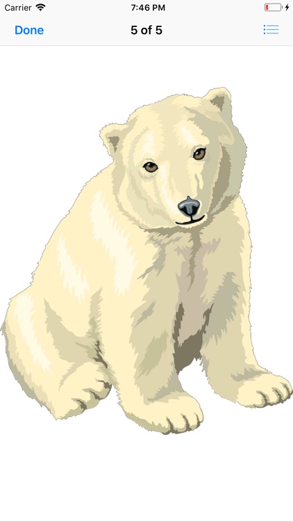 Bear Stickers screenshot-6