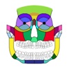 ZS Maxillofacial Trauma Score