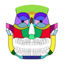 ZS Maxillofacial Trauma Score