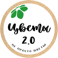 Цветы 2.0  Владивосток