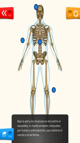 Game screenshot Educa Explorer Cuerpo Humano. apk