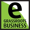 Egrassrootsbusiness.com