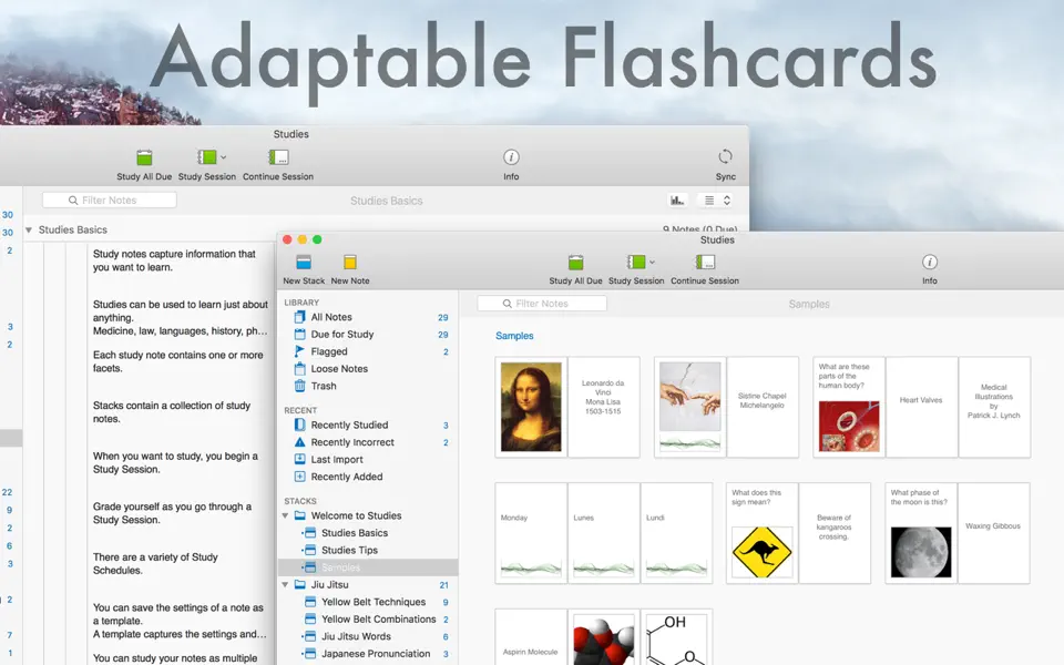 Screenshot 1 of Studies · Premium Flashcards 1.8.11