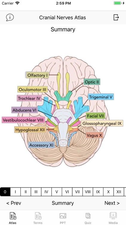 Cranial Nerves Plus screenshot-0