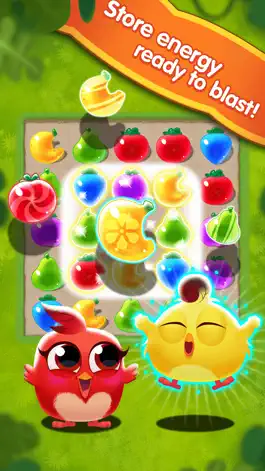 Game screenshot Chicken Fruit Splash hack