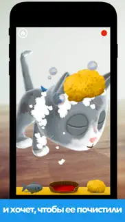 fiete cats ar айфон картинки 4