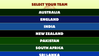 Touch Cricket : Test Match Special screenshot 4