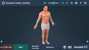 Human body (male) 3D screenshot #1 for iPhone