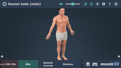 Screenshot #1 pour Human body (male) 3D
