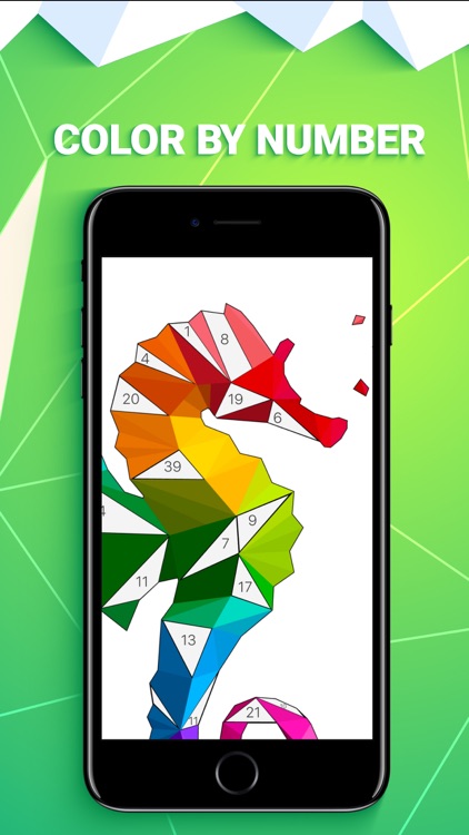 POLYGON: Color by Number