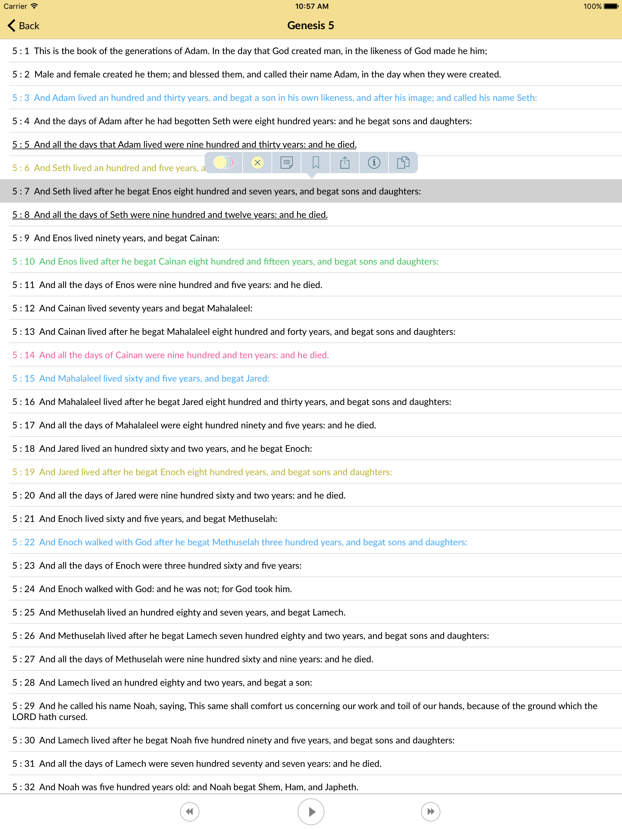 Holy Bible - King James Audio screenshot 6