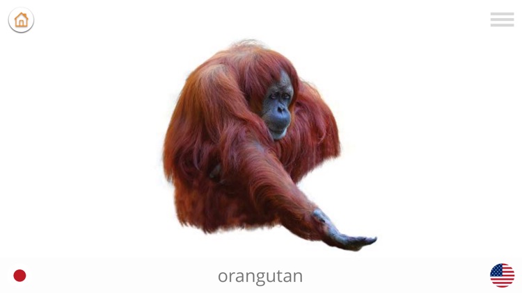 Play and Learn JAPANESE