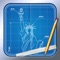 Blueprint 3D