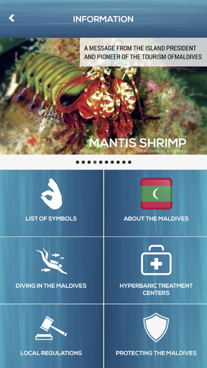 iDive World - Maldives screenshot-4