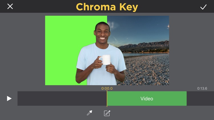 Perfect Video Pro