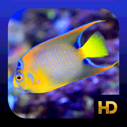 Peaceful Aquarium HD