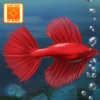 Fish Tycoon Lite - iPadアプリ