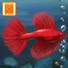 Fish Tycoon Lite App Feedback